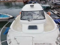 船舶公估人的素质要求