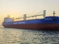 新造集装箱船市场的基本特征及其波动机理