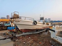 《合同法》的规定对船舶买卖质量要求的适用