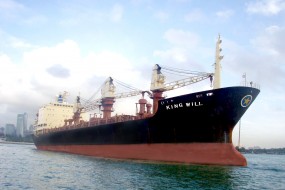 2021年近海新造5200吨散货船