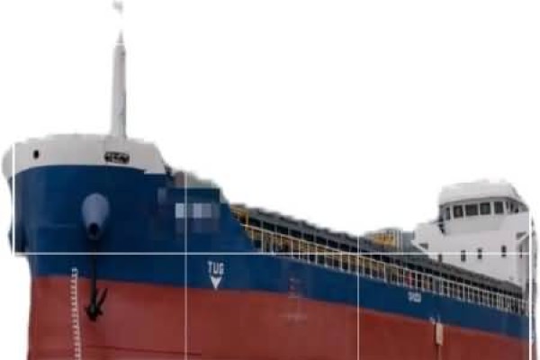 新船交易市场的法律地位定性