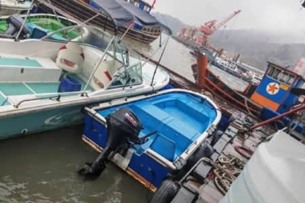 广州船舶交易正式启用专用发票