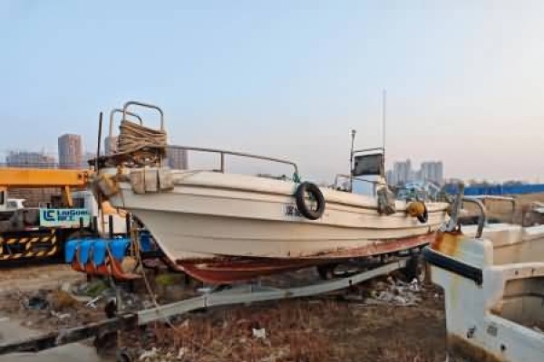 《合同法》的规定对船舶买卖质量要求的适用