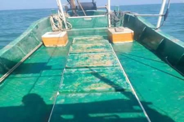 船舶的船龄风险