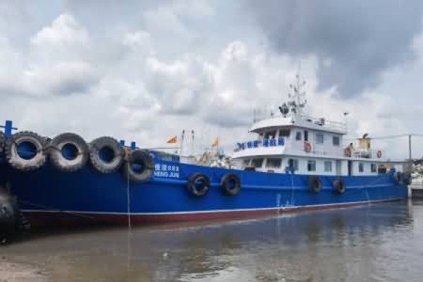 光船租赁船舶国籍证书有效期限的认定