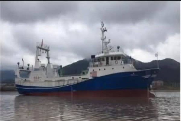 新造船市场的特征