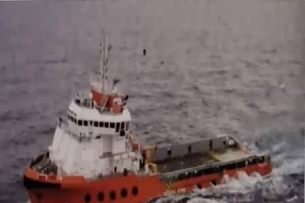 新船交易市场的义务